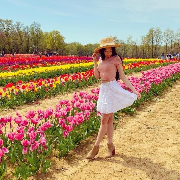 trendsandtulips